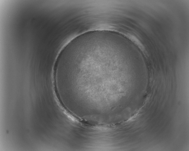 X0000070420990200606161433