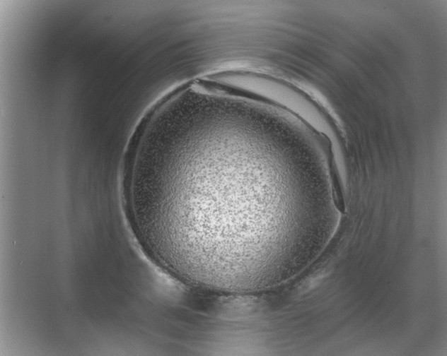 X0000070420991200606161433