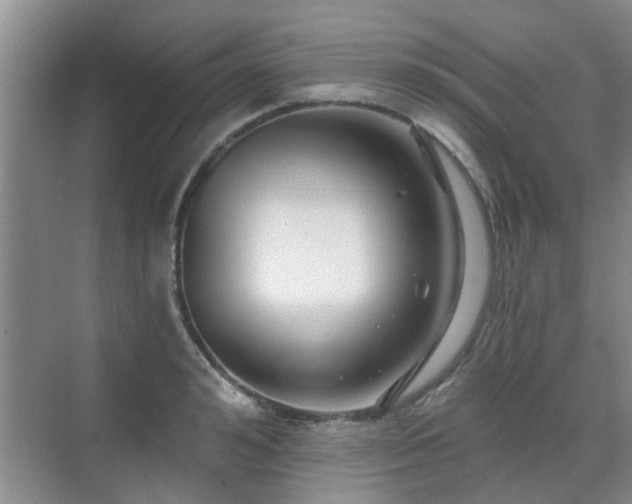 X0000070420992200606161433