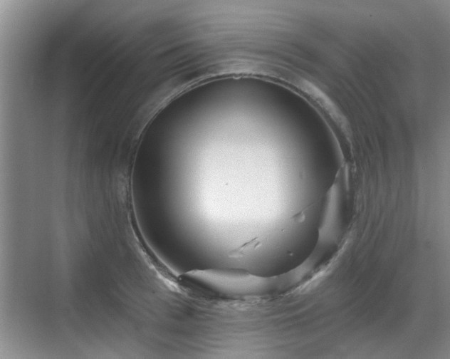 X0000070420993200606161433