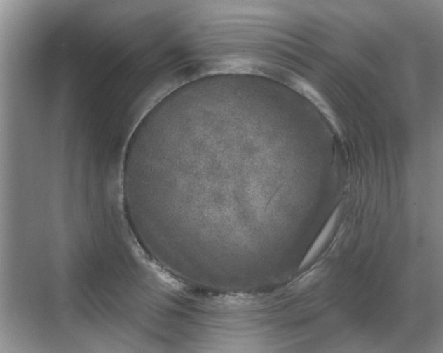 X0000070420994200606161433