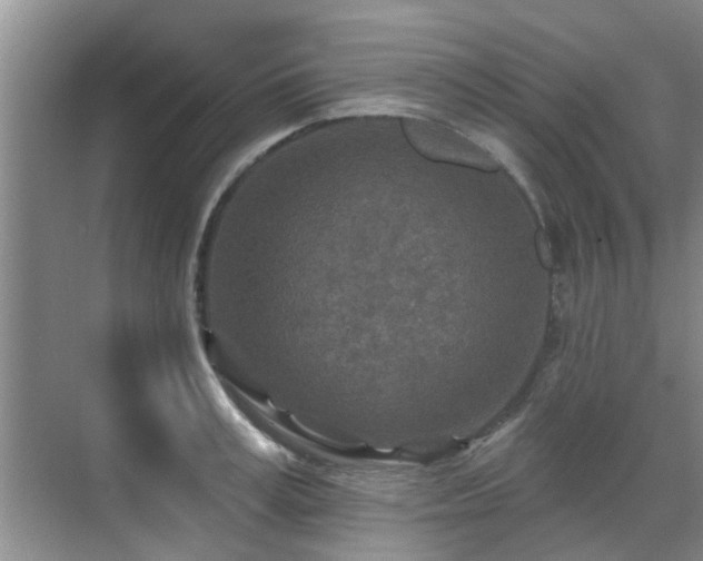 X0000070420995200606161433