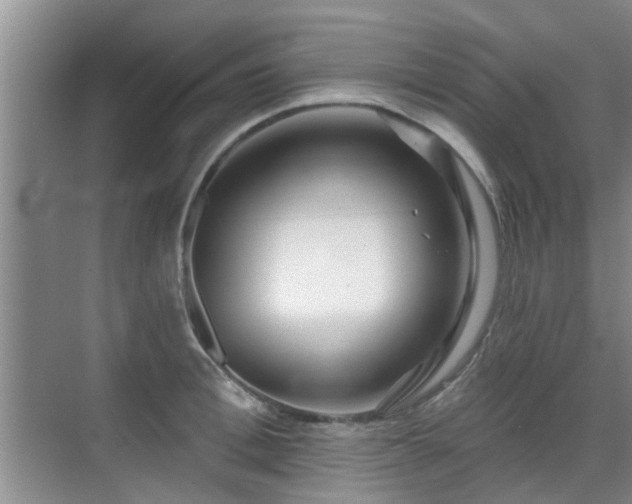 X0000070420996200606161433