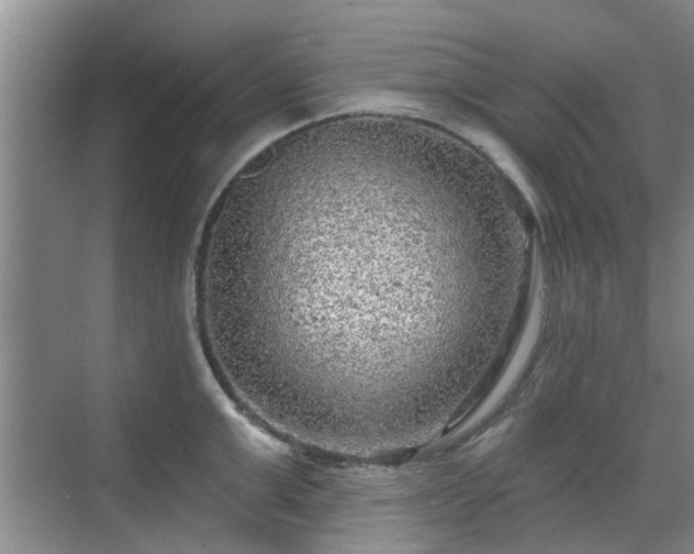 X0000070420999200606161433