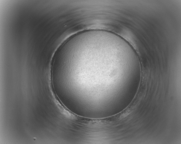 X0000070421000200606161433