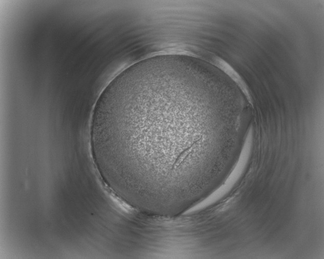 X0000070421002200606161433