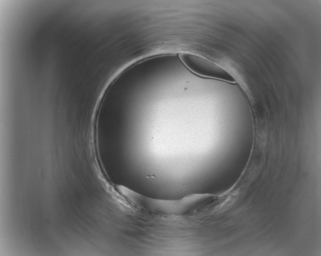 X0000070421004200606161433