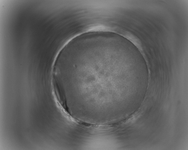 X0000070421008200606161433