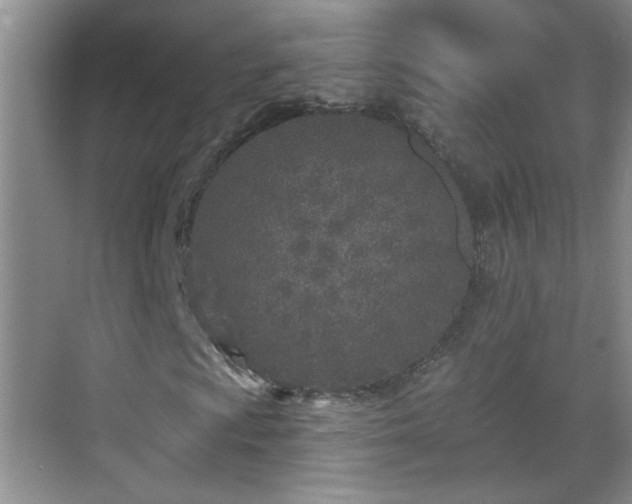 X0000070421009200606161432