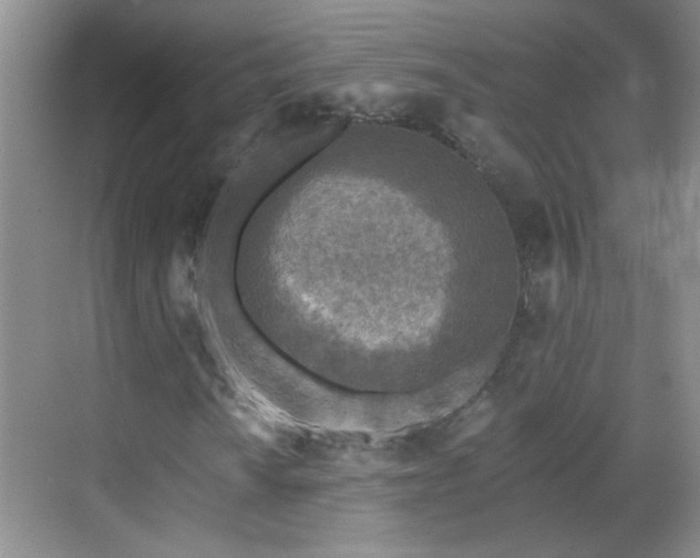 X0000070421010200606161432