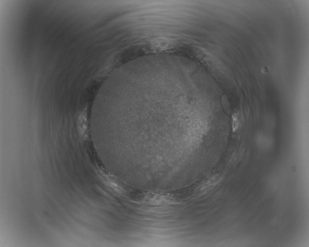 X0000070421011200606161432