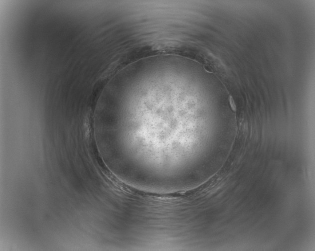 X0000070421012200606161432