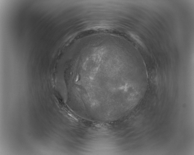 X0000070421015200606161432