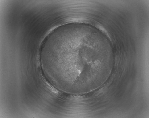 X0000070421019200606161432