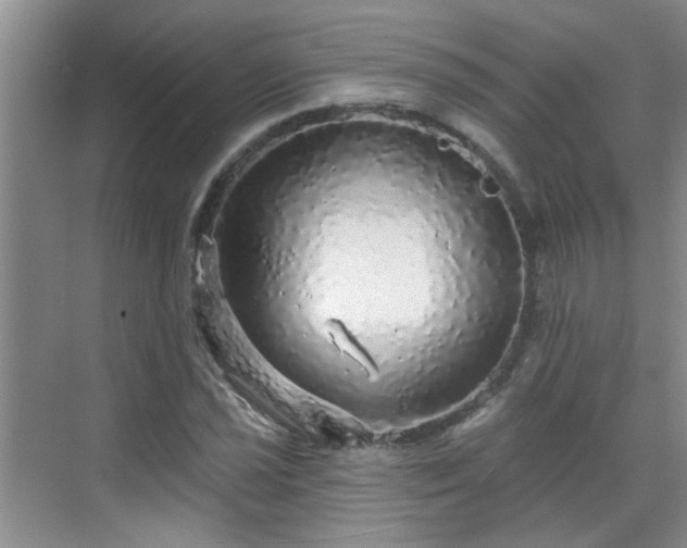 X0000070421021200606161432