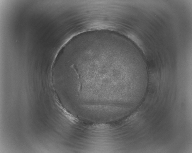 X0000070421023200606161432