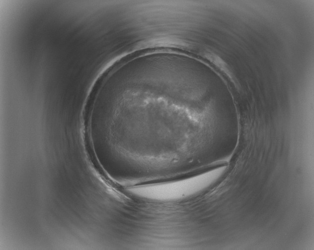 X0000070421024200606161432