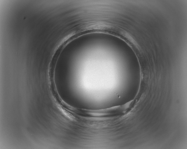 X0000070421026200606161432