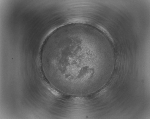 X0000070421027200606161432