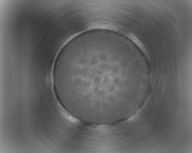 X0000070421028200606161432