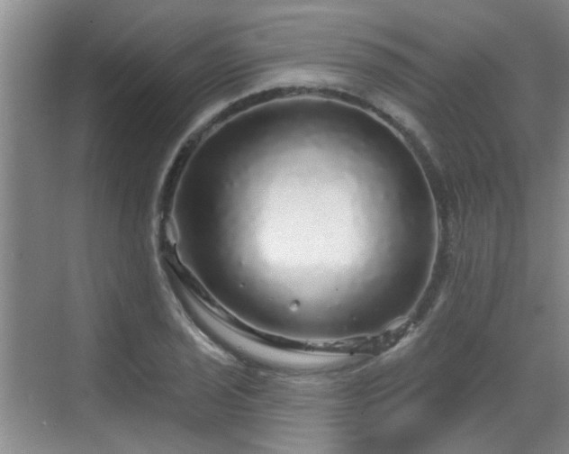 X0000070421029200606161432