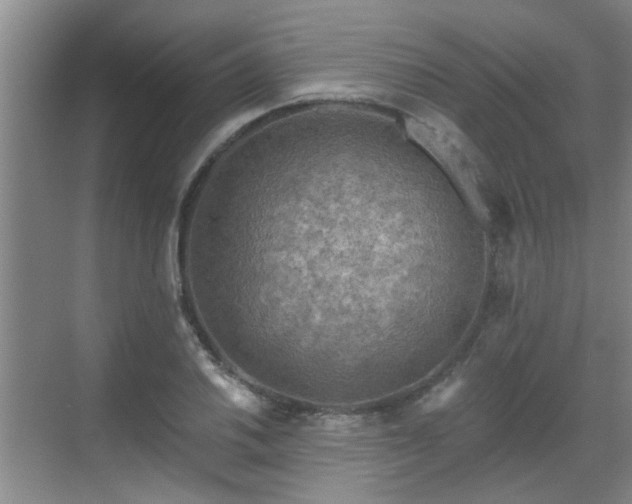 X0000070421030200606161432