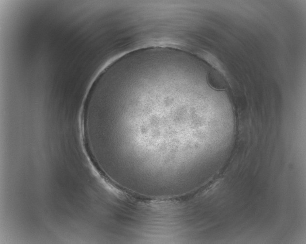 X0000070421032200606161432