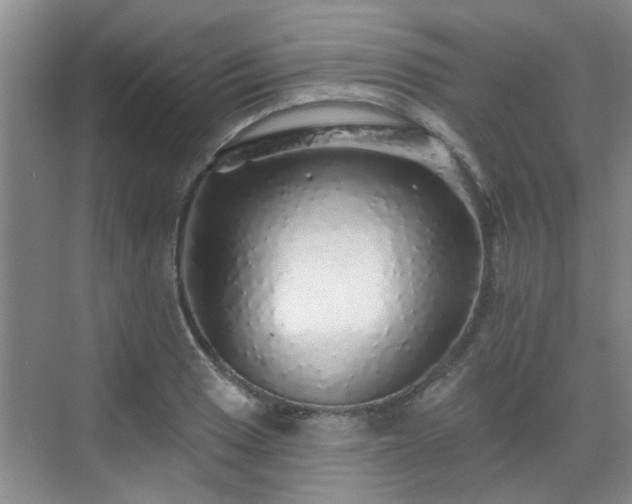 X0000070421033200606161432