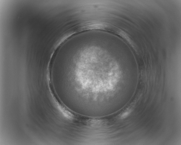 X0000070421034200606161432