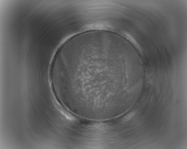 X0000070421035200606161432