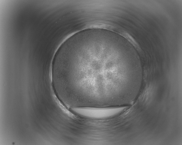 X0000070421036200606161433