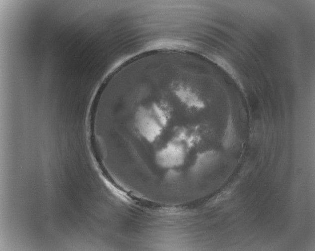 X0000070421037200606161433