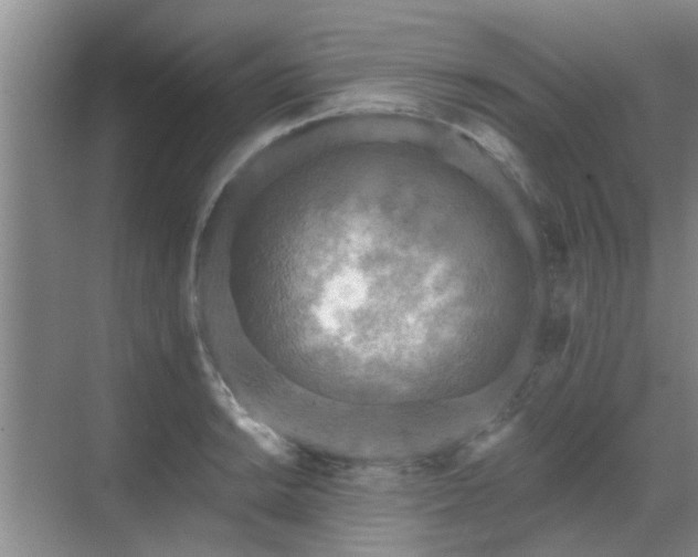 X0000070421038200606161433