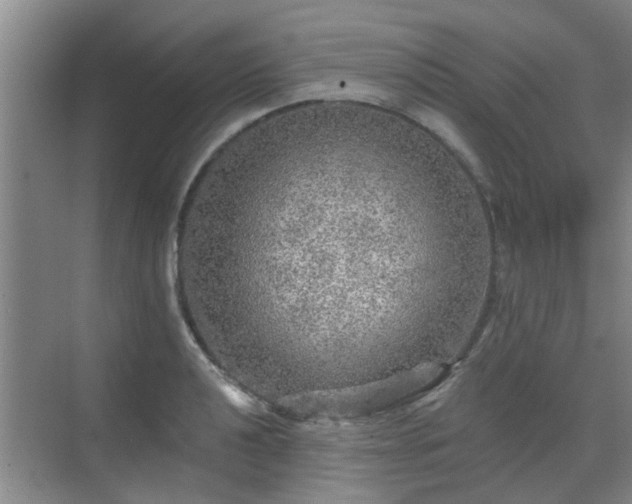 X0000070421040200606161433