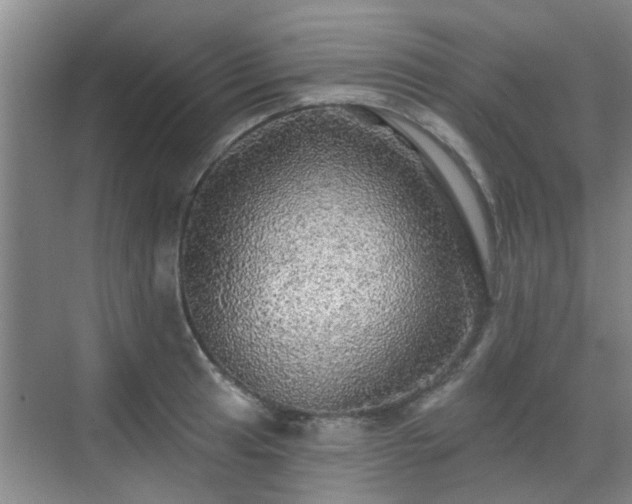 X0000070421041200606161433