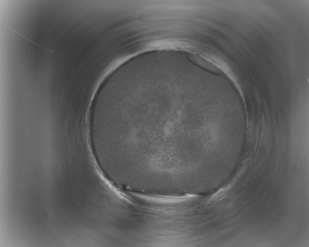 X0000070421045200606161433