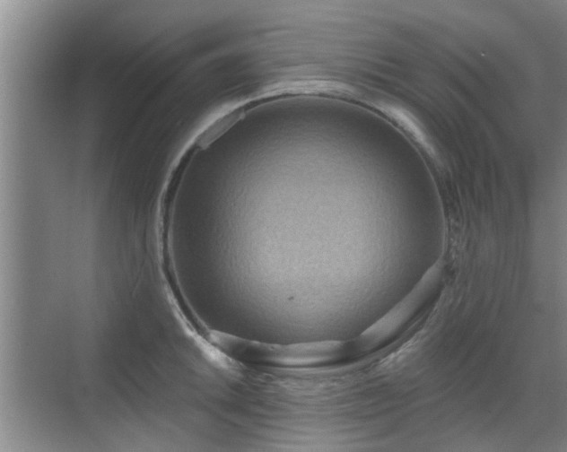 X0000070421046200606161433