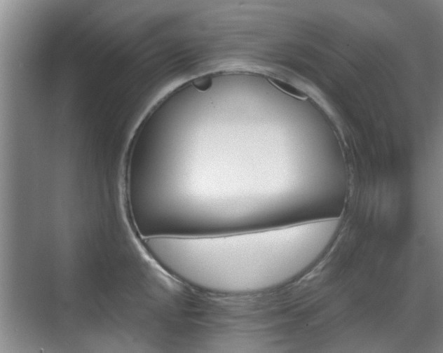 X0000070421048200606161433