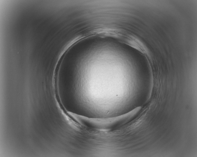 X0000070421050200606161433