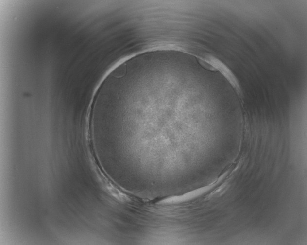 X0000070421052200606161433