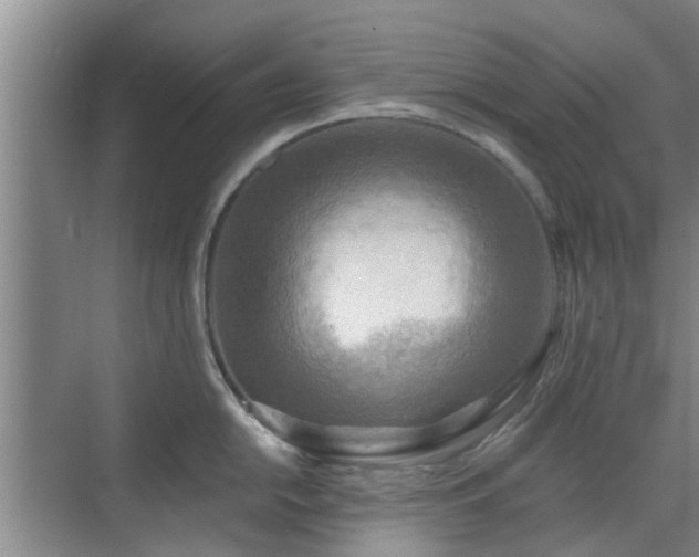 X0000070421054200606161433