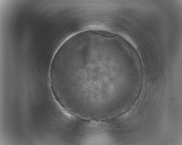 X0000070421056200606161433