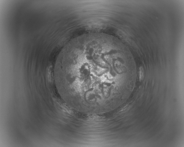 X0000070421059200606161432