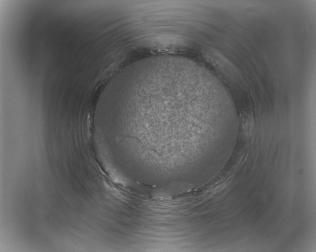 X0000070421060200606161432