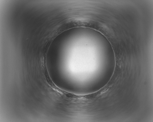 X0000070421061200606161432