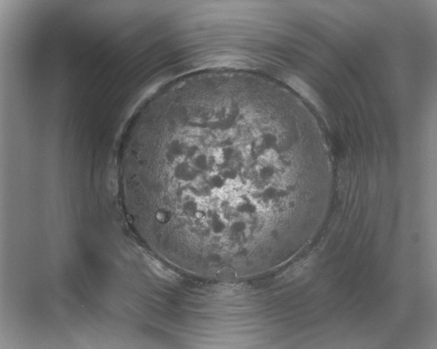 X0000070421067200606161432