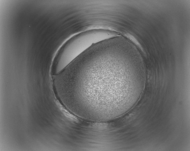 X0000070421068200606161432