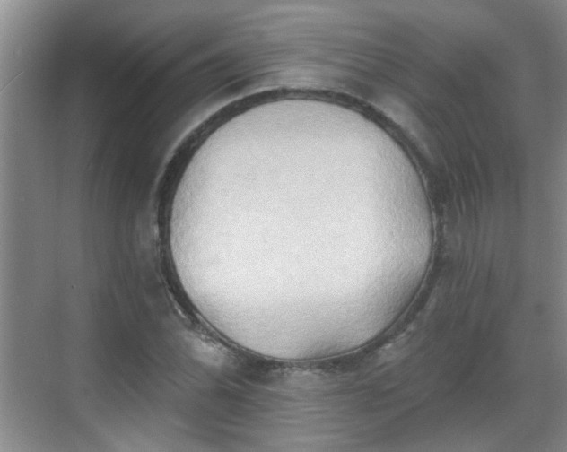 X0000070421070200606161432