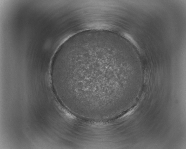 X0000070421071200606161432