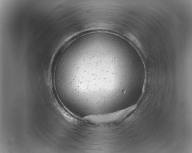 X0000070421072200606161432